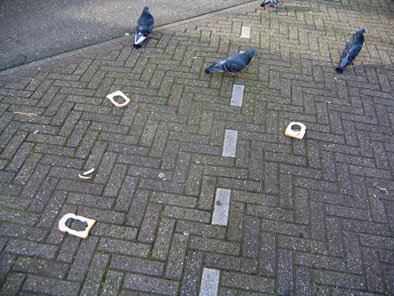 by Krista van de Niet