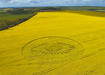 The Big Brother crop circle was made in a rapeseed field at Lockibgkiln Farm, Wantage, Oxfordshire, England. The one-hundred-meter-wide crop circle took six people a total of seven hours to construct.