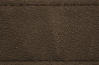 184_camerastraphres01.jpg