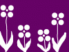214_187895.gif