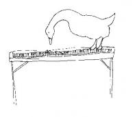 217_drawing04.jpg