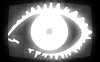 243_big-brother---on-tv.jpg