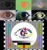 243_completede8.jpg