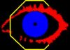 243_sb2eye.jpg