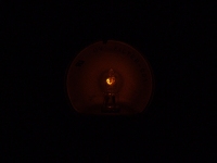 Dianna Loughlin 377_ooeatockbulb.jpg