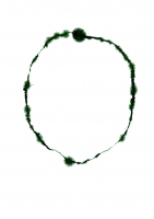 495_webnic-cockram.jpg