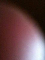 496_michael-bussell.jpg