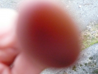 496_p1150753.jpg
