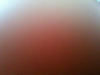 496_photo.jpg