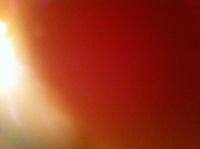 496_photo_v2.jpg
