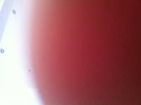 496_photo_v3.jpg
