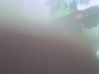 496_trew.jpg